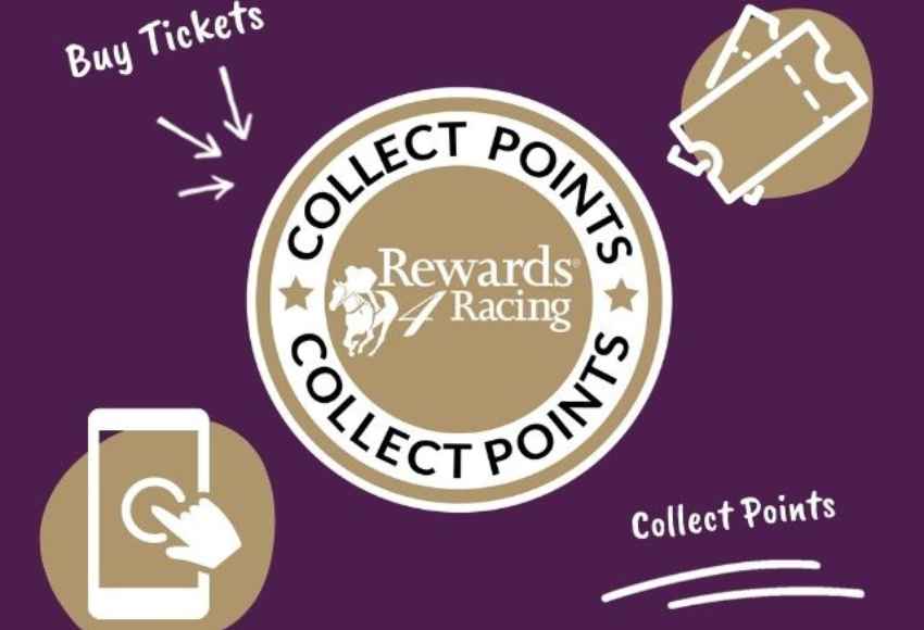 Rewards 4 racing the curragh where champions are made