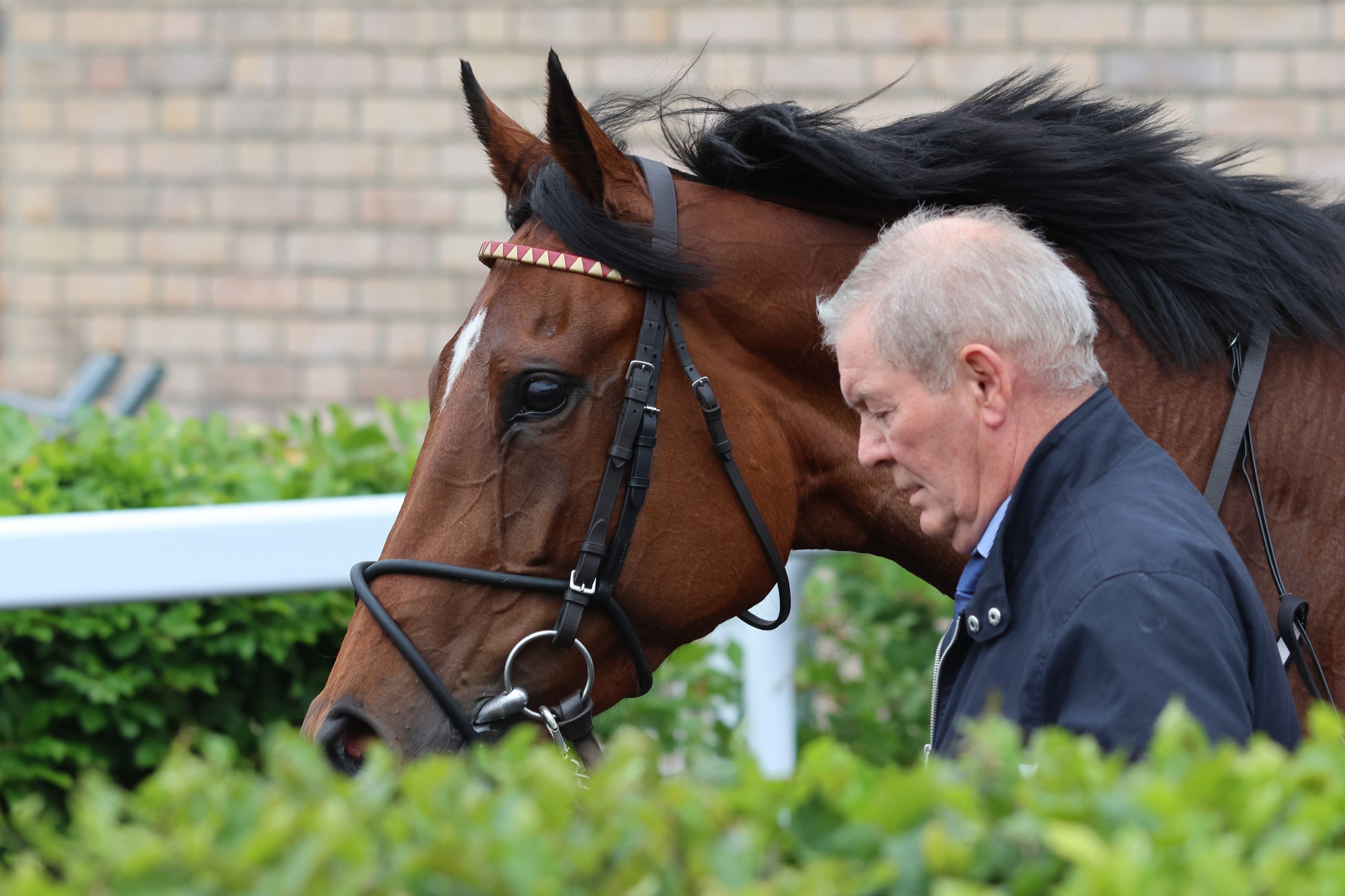 Best Turned Out ~ Saturday 24 May
