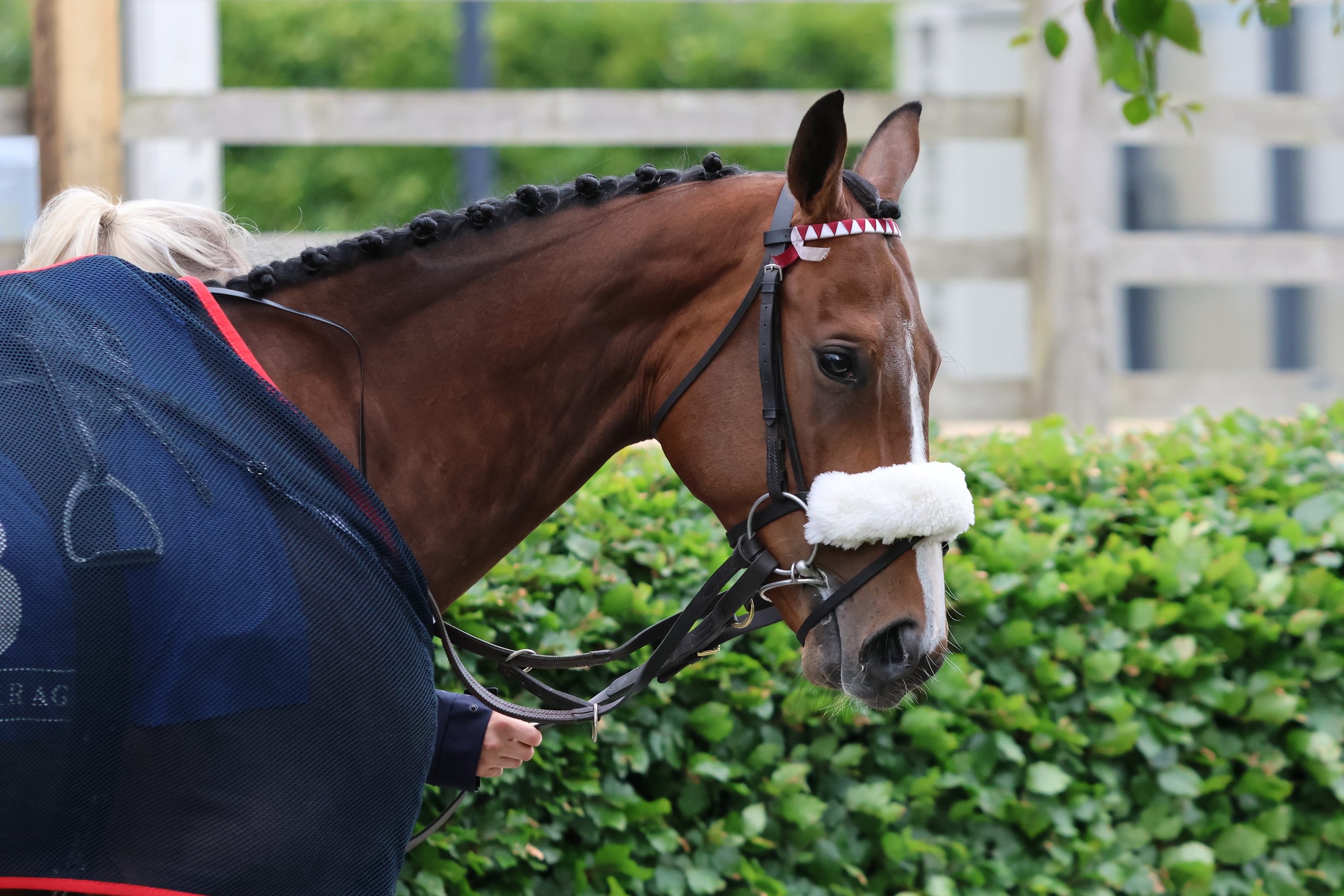Best Turned Out ~ Wednesday 4th June