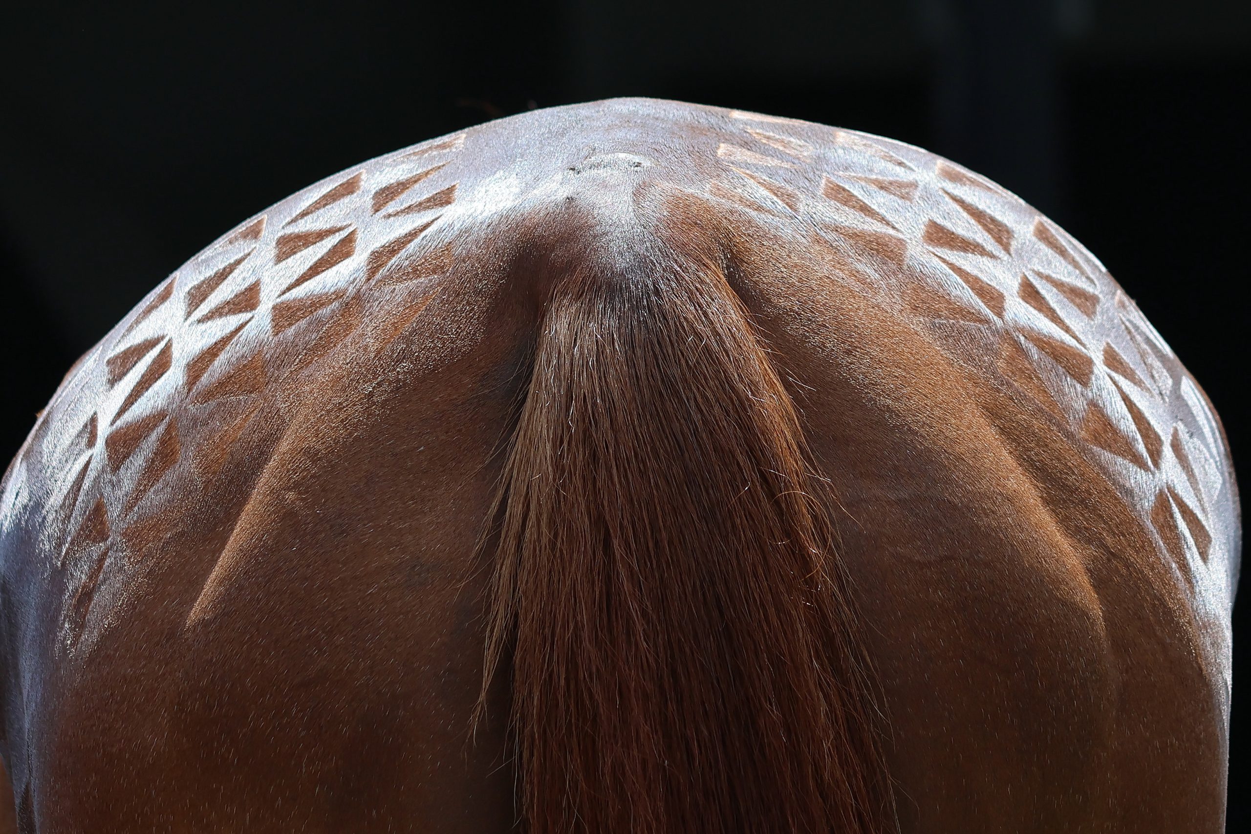 Best Turned Out ~ Sunday 29th June