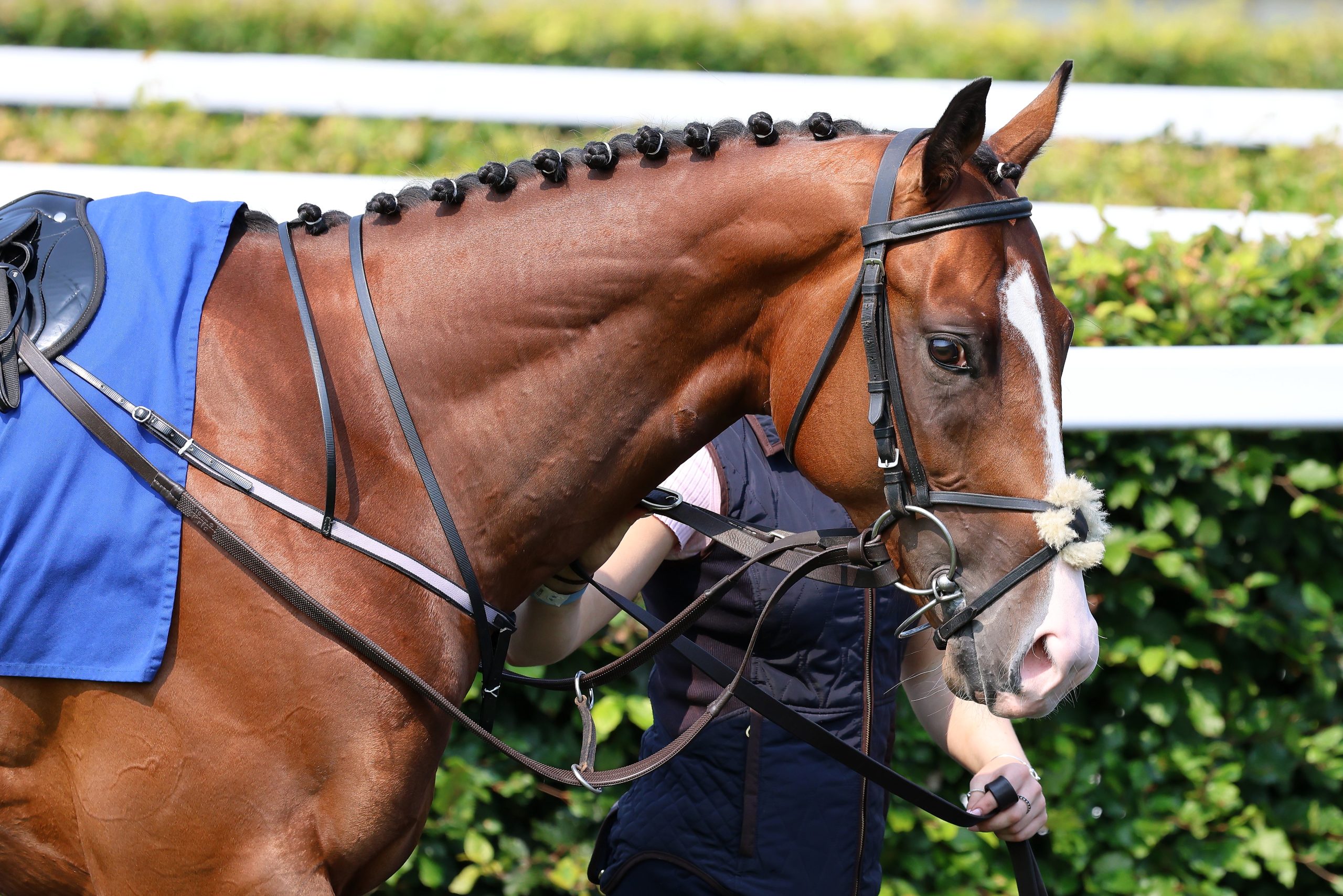 Best Turned Out ~ Saturday 16th August
