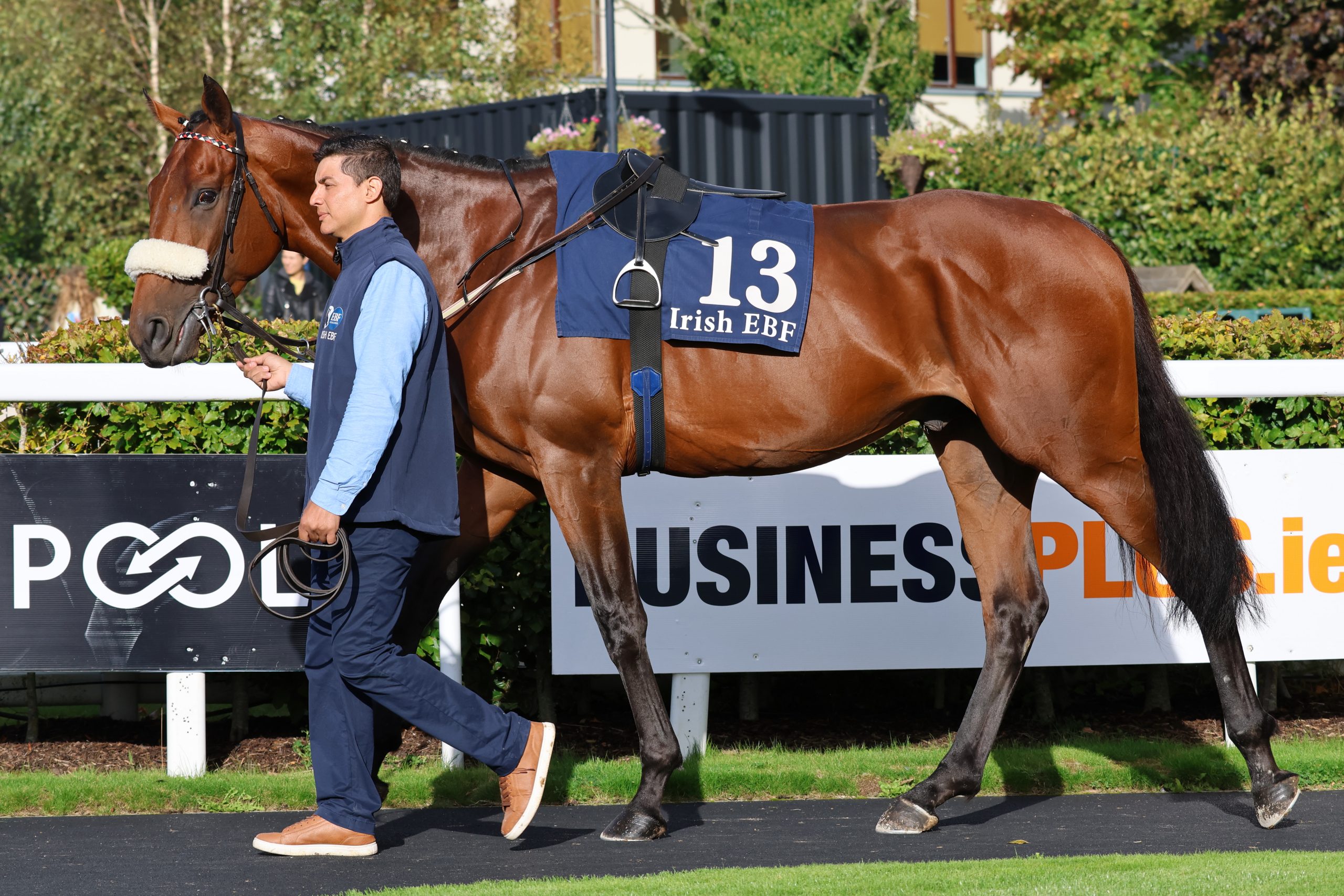 Best Turned Out ~ Sunday 14th September