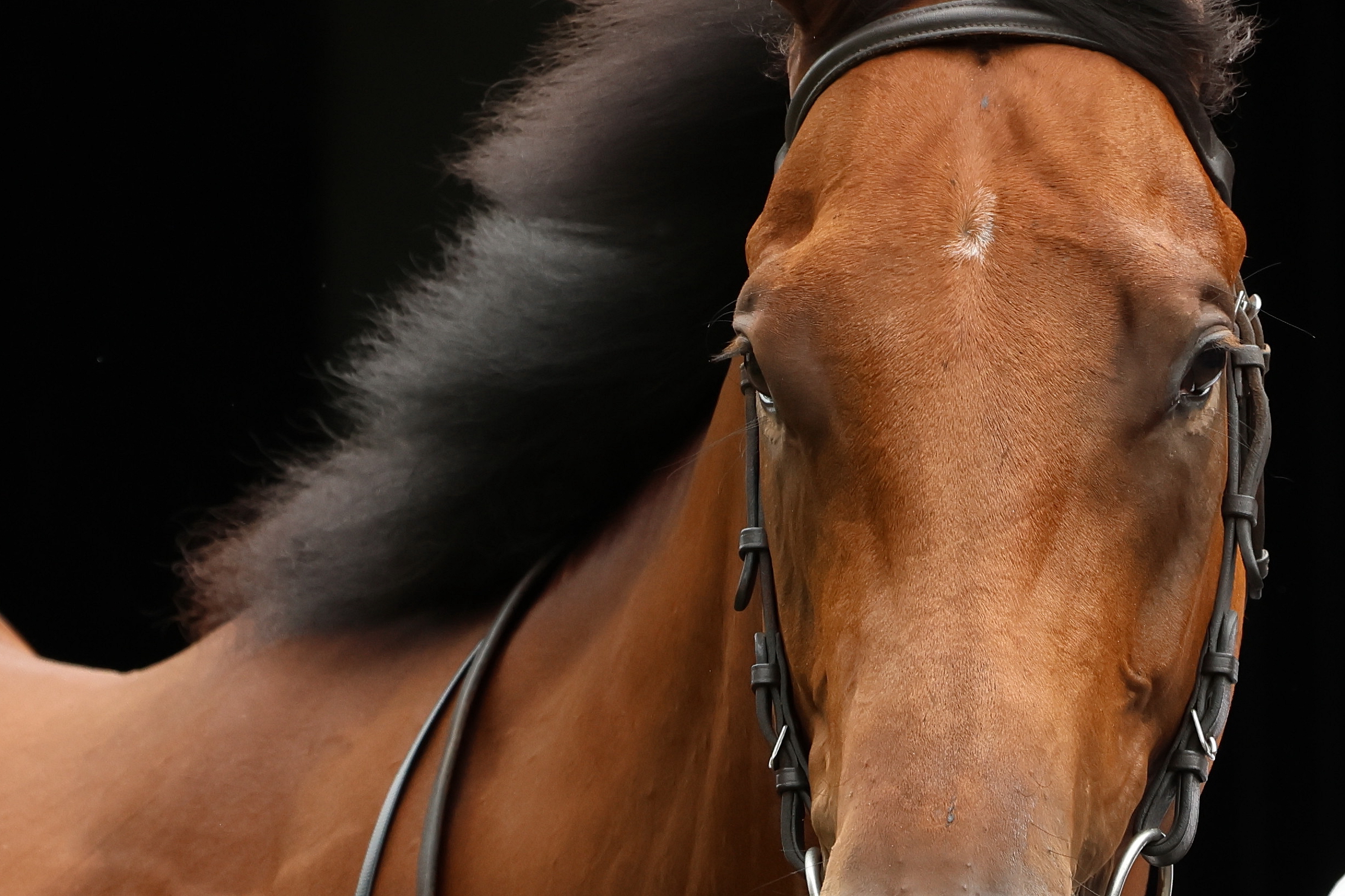 Best Turned Out ~ Saturday 23 August