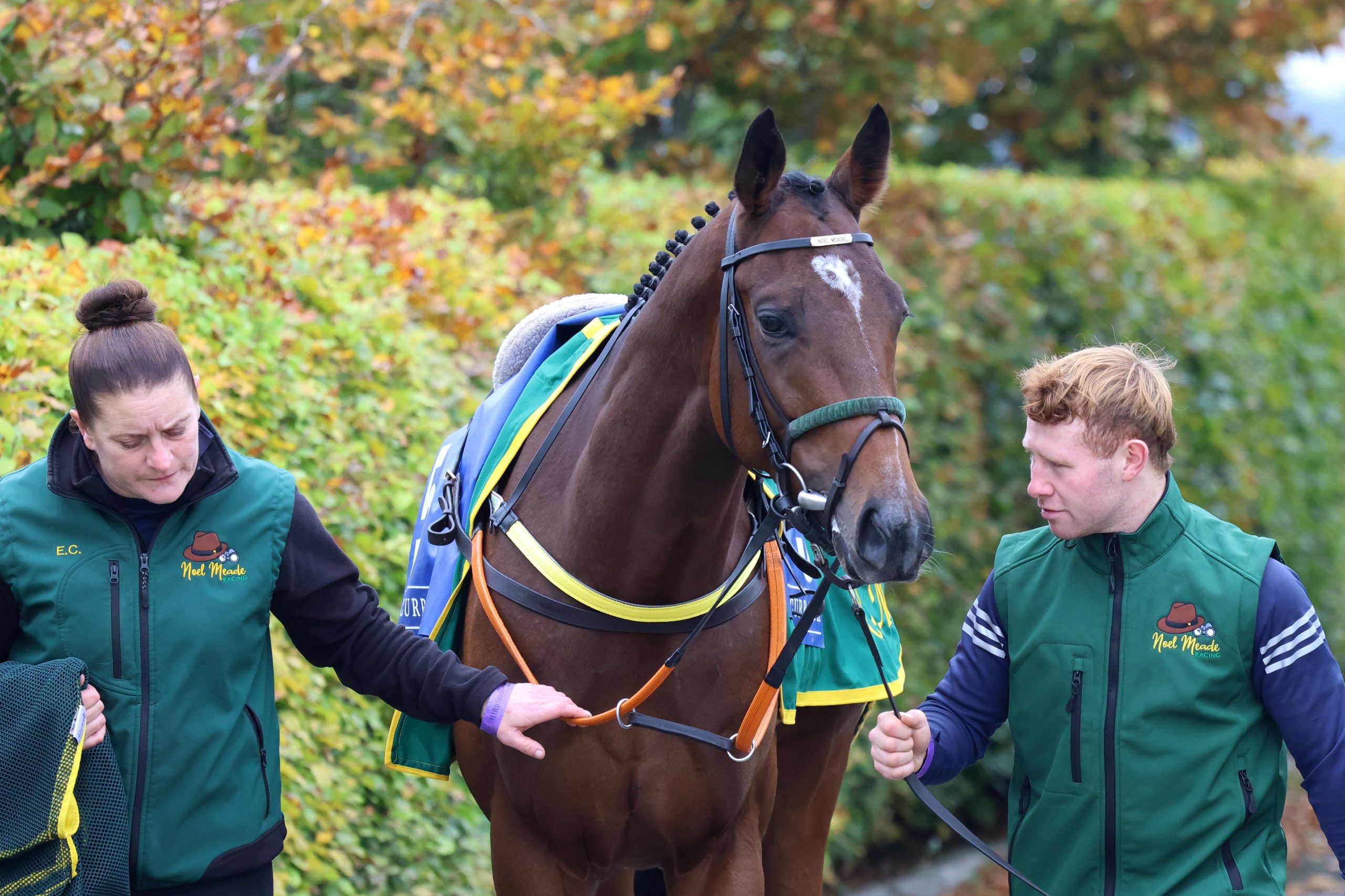 Best Turned Out ~ Thursday 16th October