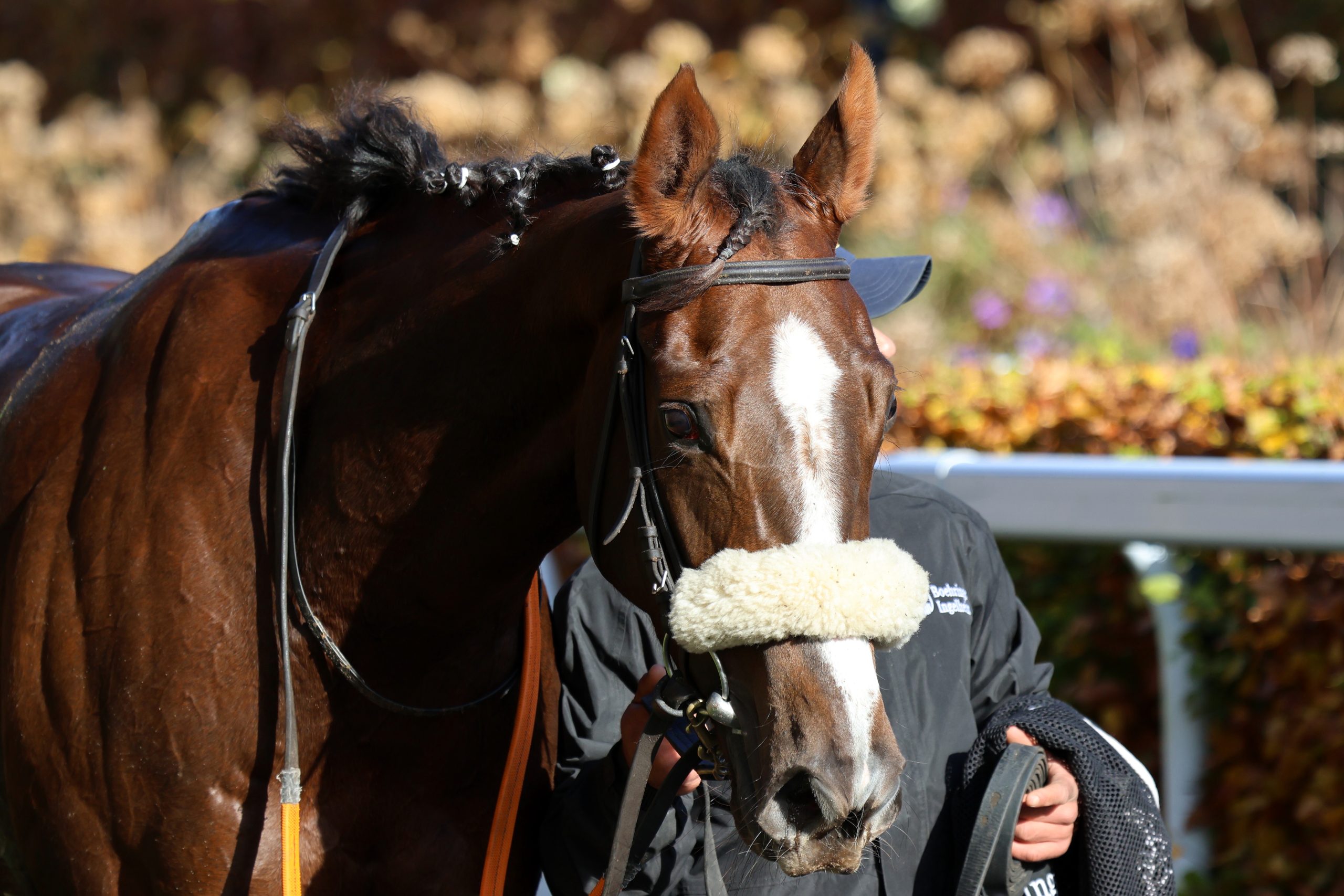 Best Turned Out ~ Sunday 2nd November