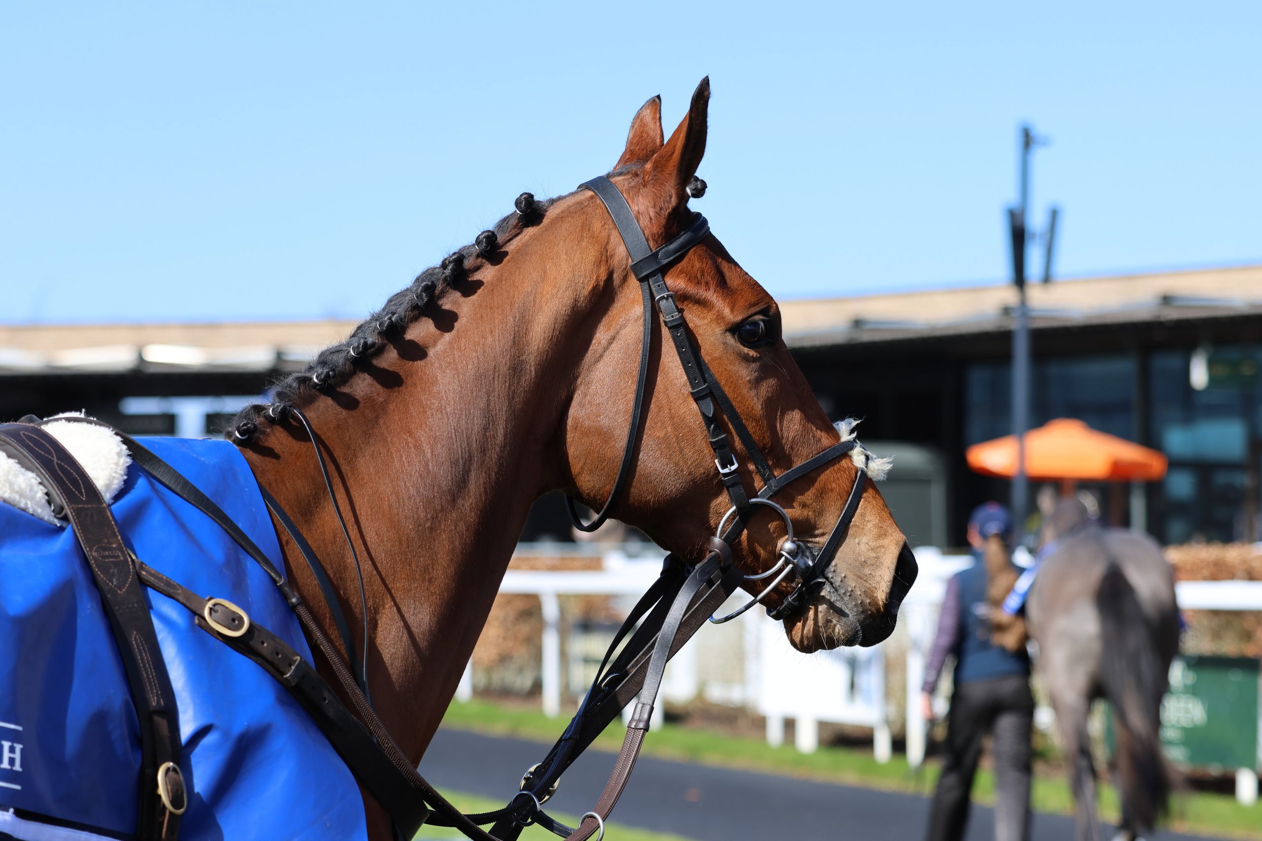 Best Turned Out ~ Saturday 28 March