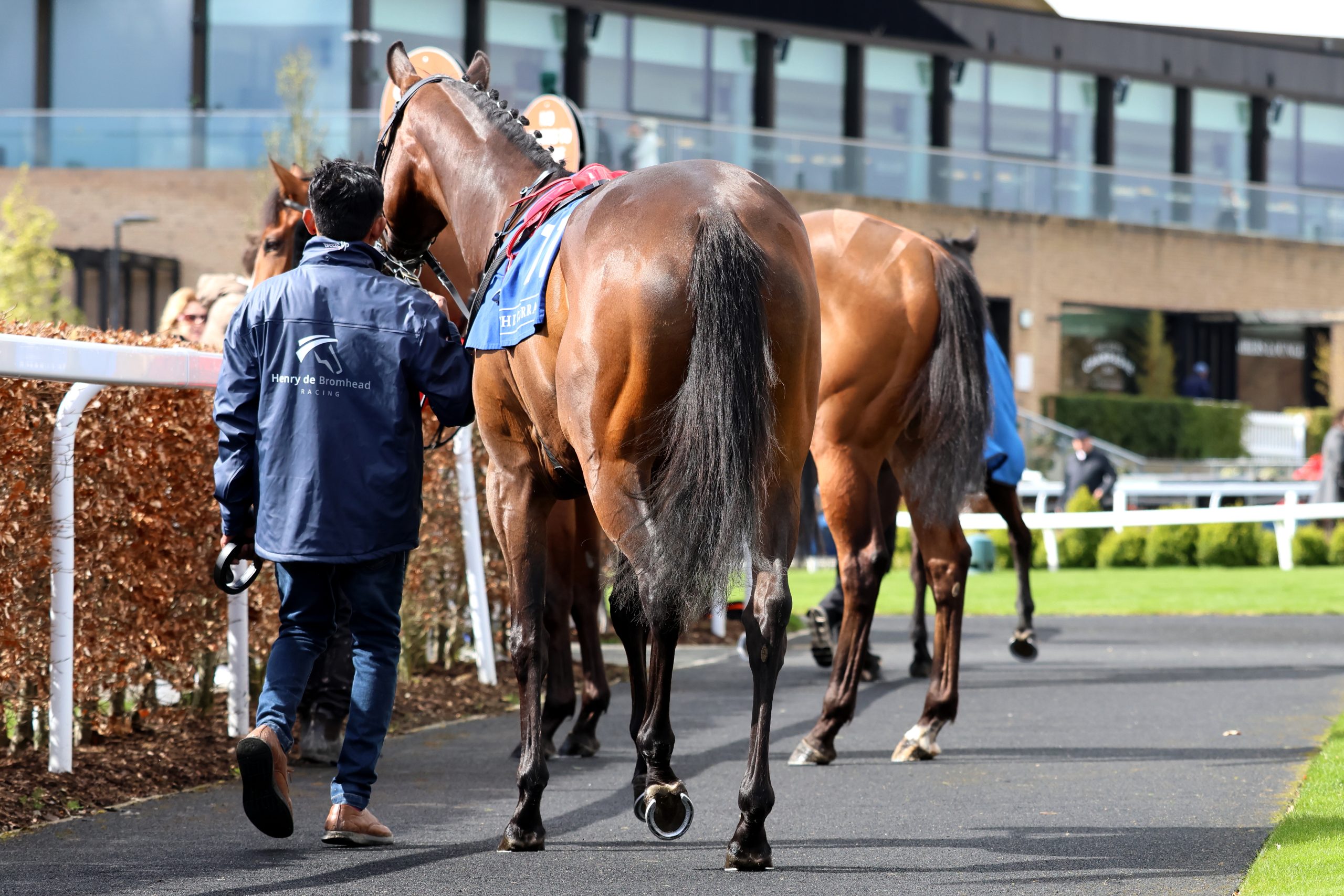 Best Turned Out ~ Friday 3 April