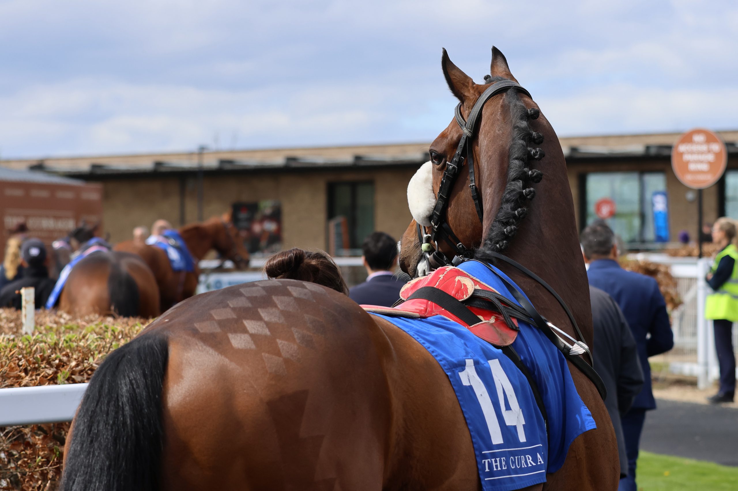 Best Turned Out ~ Sunday 19th April