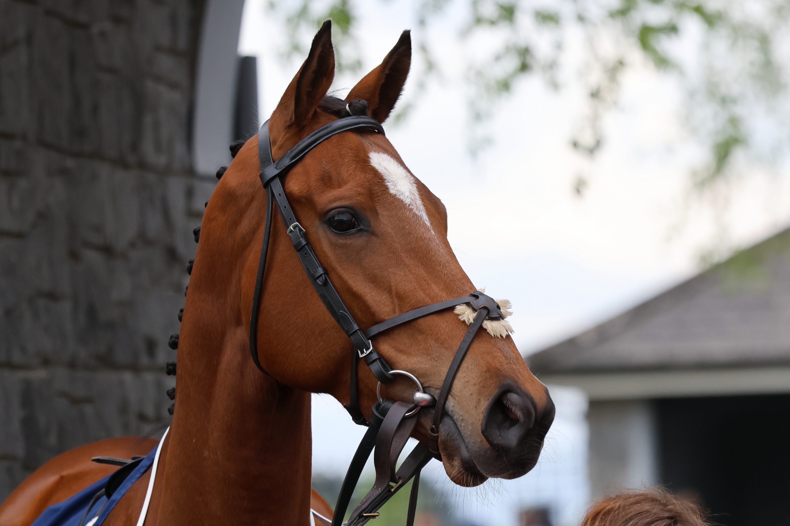Best Turned Out ~ Monday 4th May