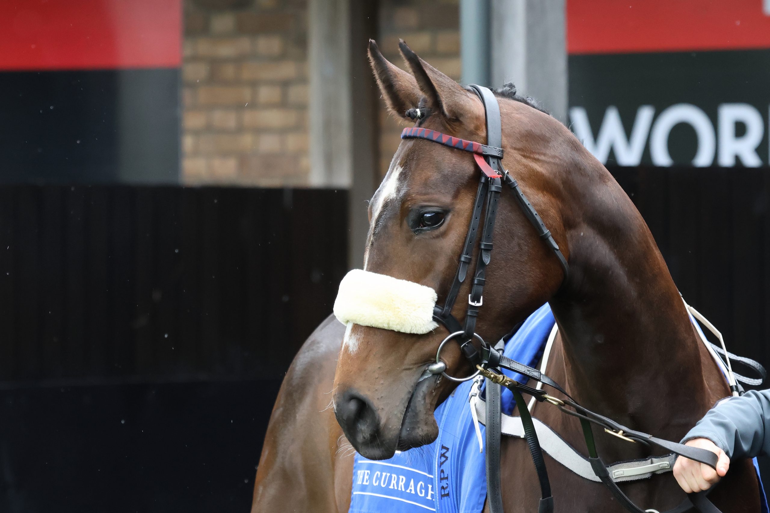 Best Turned Out ~ Wednesday 3rd June