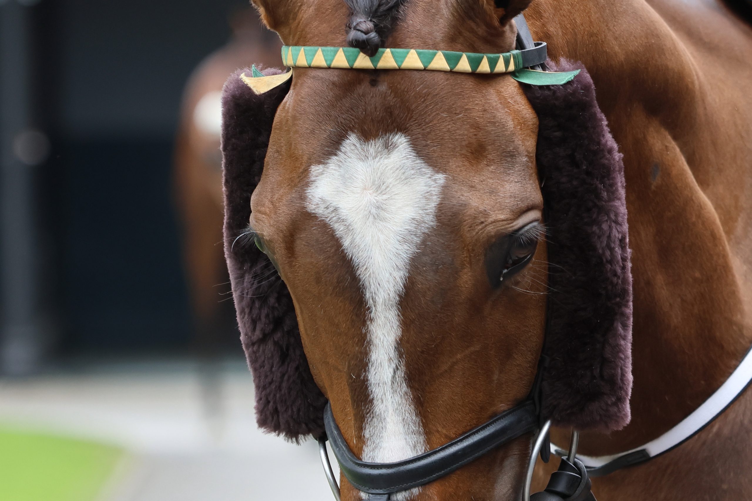 Best Turned Out – Saturday 27th June