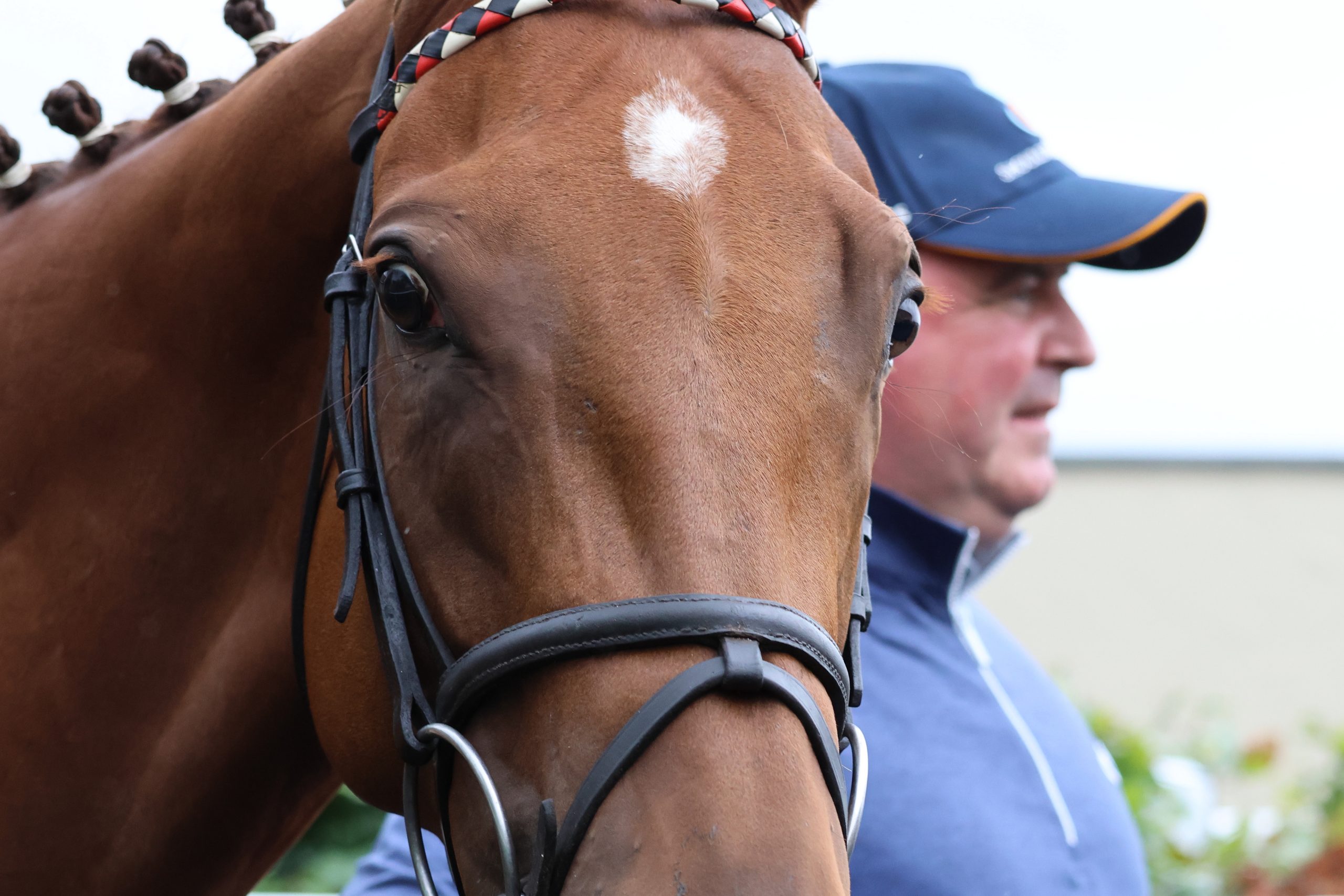 Best Turned Out – 29th August 2026